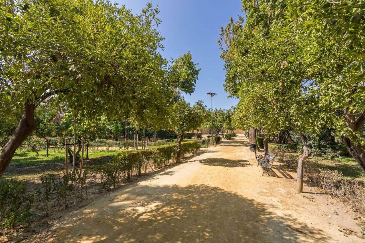 Appartement Veronica City Center Oasis Séville